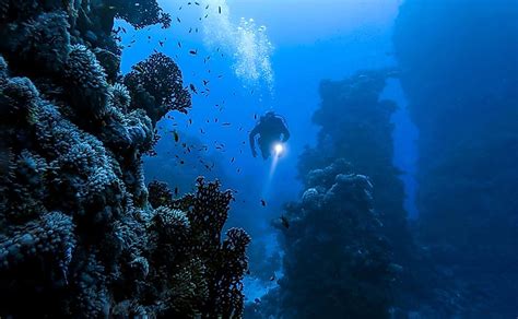  Challenges and Innovations in Exploring the Mesmerizing Depths: A Fascinating Journey into the Deep-Sea Realm