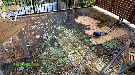  Dealing with Moss and Algae: Prevention and Removal Techniques 