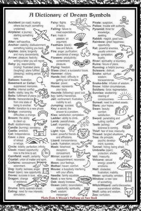  Decoding Symbols: The Significance of the Shoulder in Dream Analysis 