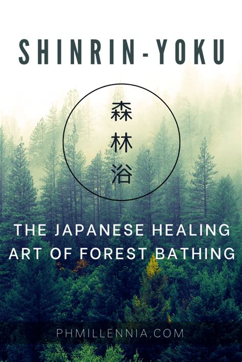  Discover the Curative Influence of Shinrin-Yoku 