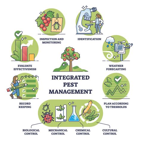  Ensuring Optimal Plant Health: Effective Strategies for Pest Management 