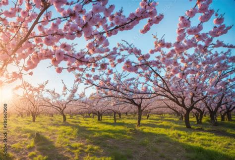  Exploring the Cultural Significance Attached to the Verdant Blossom 