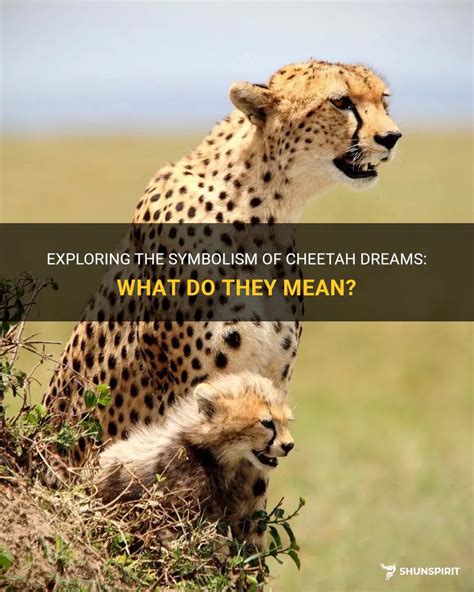  Exploring the Deeper Meanings Behind a Cheetah's Bite: Unraveling the Hidden Symbolism 