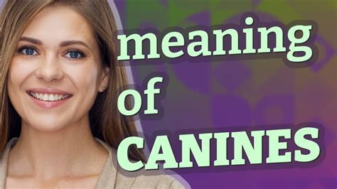  Exploring the Depths: Revealing the Significance Behind Canine Imaginings 