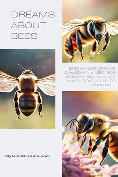  Exploring the Psychological Significance of Bee Human Dreams 