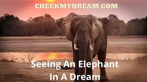  Exploring the Significance of a Dark-Colored Elephant in Dreams 