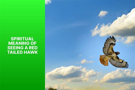  Exploring the Spiritual and Metaphysical Importance of Hawk Encounters within Dream Interpretation 