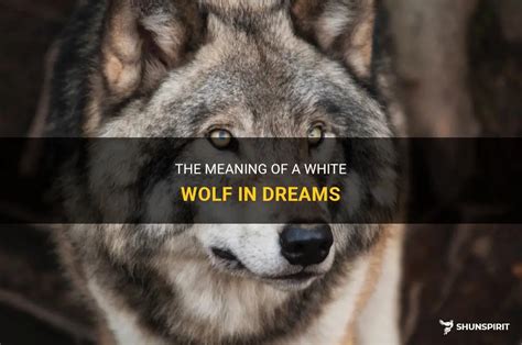  Exploring the Symbolic Meaning of a Solitary Wolf in Dreams 