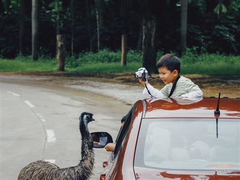  Exploring the Symbolism of Automobiles in the Dream Realm