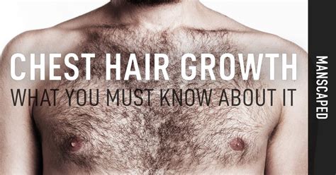  Influenсe of Environmental Factors on Chest Hair Growth 