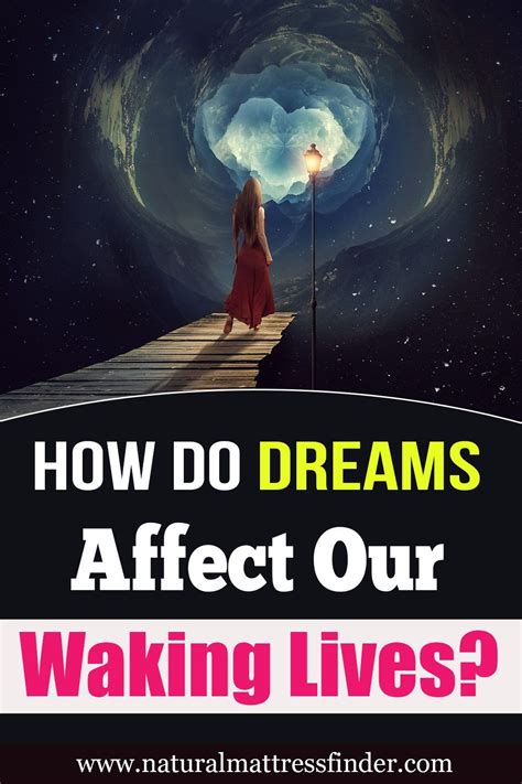  Lessons to Be Learned: Applying the Insights from Search Dreams to Our Waking Lives 