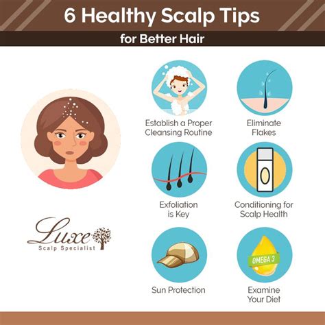  Maintaining a Healthy Scalp: Tips for Preventing Hair Loss 