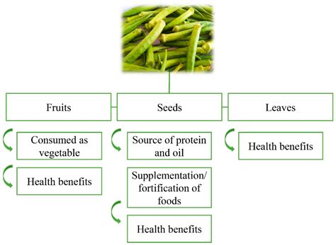  Okra in Traditional Medicine: Healing Properties and Remedies 