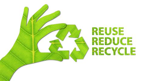  Reduce Waste and Be Environmentally Conscious 