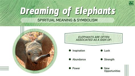  The Power Symbolism of Elephants Unveiled in Dream Interpretation 