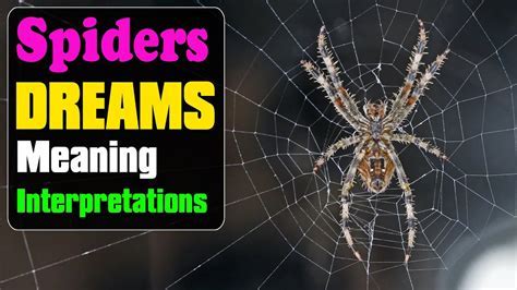  The Symbolic Significance of Dreams Involving Bugs and Arachnids 