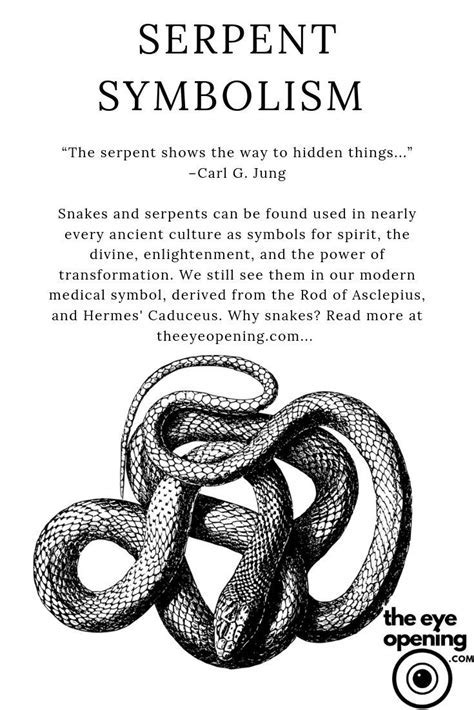  Uncovering the Cryptic Messages: Deciphering the Symbolism of an Ivory Serpent Reverie 