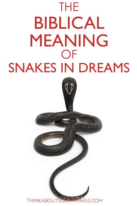  Unveiling the Enchanting Symbolism of Colored Snakes in the Realm of Dream Interpretation 