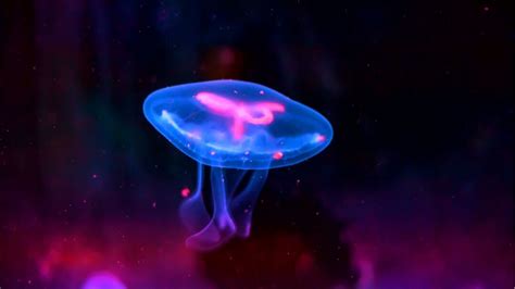  Unveiling the Enigma of Big Jellyfish's Bioluminescence 