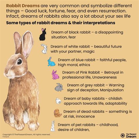  Unveiling the Mystical Connection Between Rabbits and Dreaming 