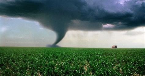  White Twisters across the Globe: A Worldwide Look at Tornado Activity 