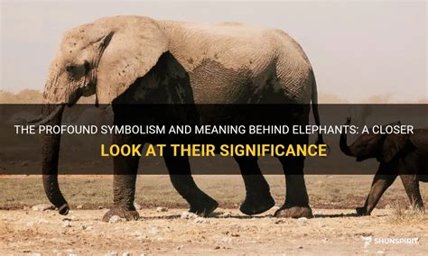 A Closer Look at the Symbolism of Elephants in Dreams