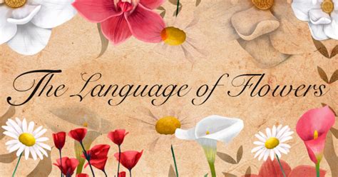 A Comprehensive Guide to Decoding the Language of Various Floral Varieties