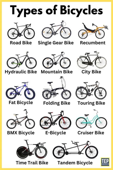 A Comprehensive Overview of Various Bicycle Types and Their Characteristics