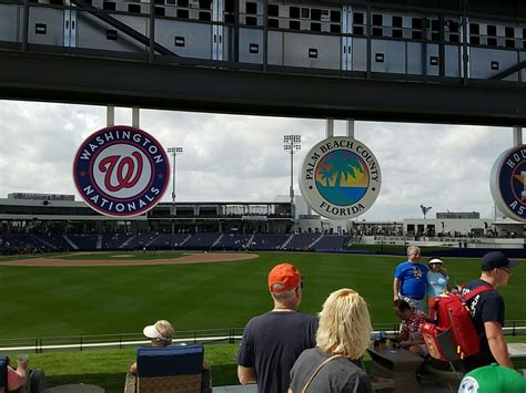 A Day at the Ballpark: Immersing in the Ambiance