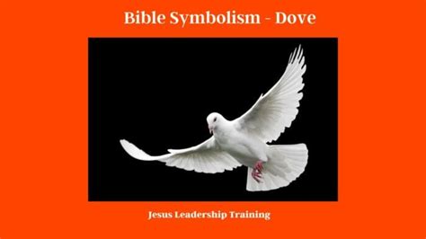 A Deeper Exploration of Symbolism Associated with the Dove in Dreams and Imagination