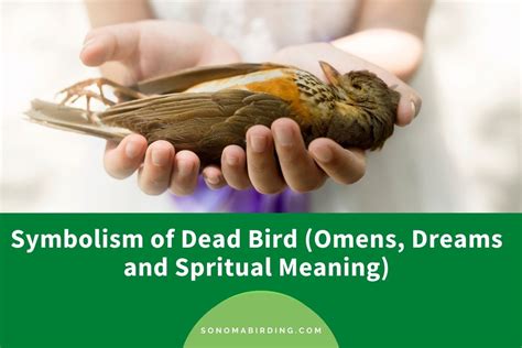 A Deeper Look into the Symbolic Meaning of Birds in Dreams