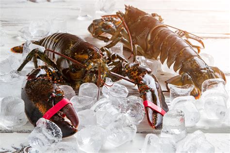 A Glimpse into the Fascinating World of Lobster Claw Delicacy