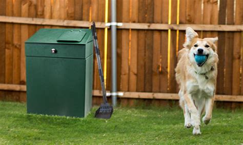 A Glimpse into the Future: Canine Waste Management and its Potential Advantages