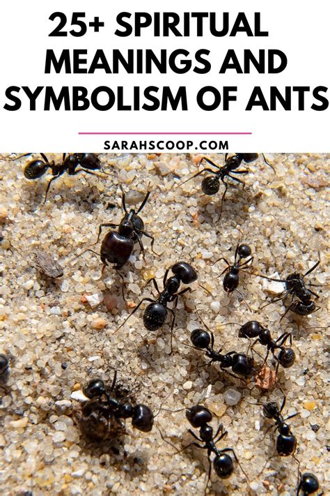 A Glimpse into the Symbolism of Ants