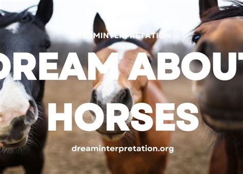 A Guide to Understanding the Symbolism and Meaning behind Dreams of Equine Micturition