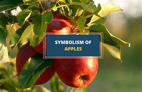 A Journey Through Time: Tracing the Symbolic Meaning of Apples in Art and Literature