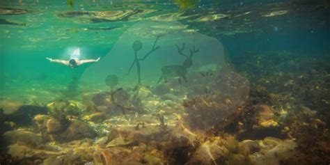 A Journey Underwater: Unveiling the Significance of Plunging