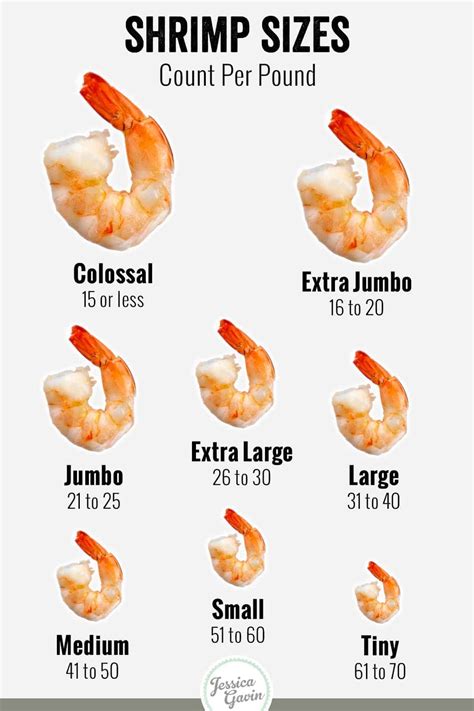 A Journey into the Mesmerizing Variety of Shrimp