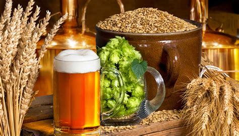 A Journey through the Brewing Process