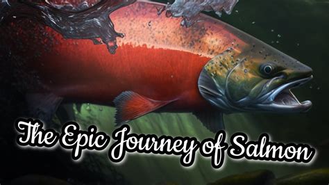 A Journey through the Flavorful Past: Exploring the Fascinating History of Salmon Cuisine