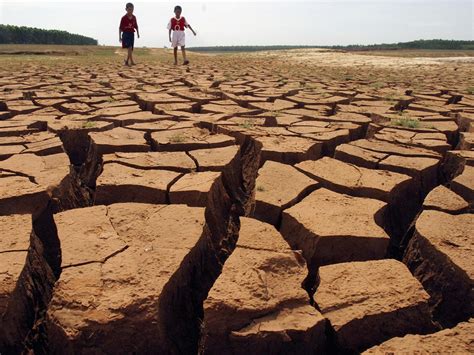 A Melody in the Arid Terrain