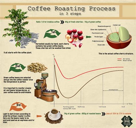 A Step-by-Step Guide to the Art of Coffee Bean Roasting