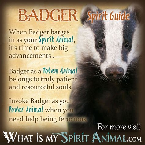 A Symbol of Protection: Unveiling the Guardianship Symbolism in Your Badger Dream