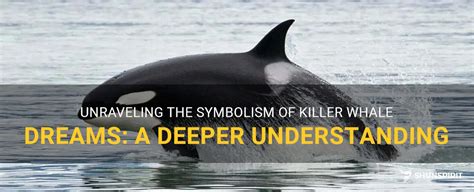 A Terrifying Encounter: Delving Into the Symbolism of Killer Whale Attacks in Dreams