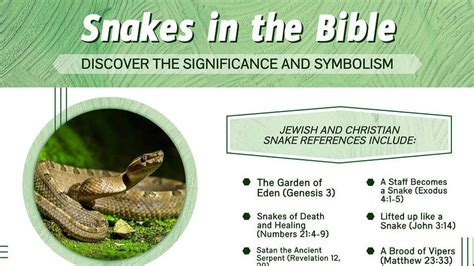 A Test of Faith: Understanding the Spiritual Significance of Surviving a Serpent Encounter