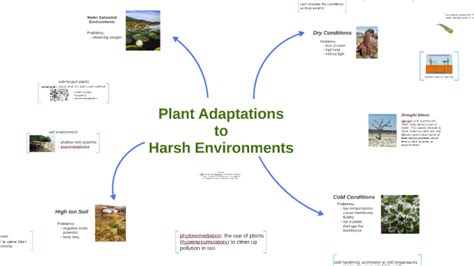 Adaptation: Overcoming Challenges in a Harsh Environment