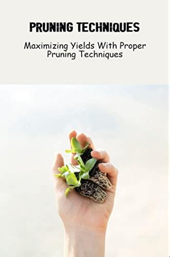 Adopting Proper Pruning and Training Methods for Maximizing Yield