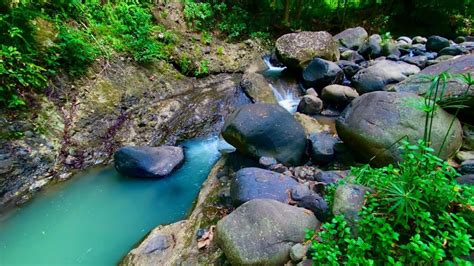 Advantages of Immersing Yourself in Pristine Water from a Shimmering Stream