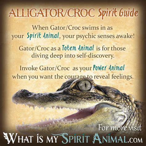 Alligator as a Spirit Animal: Exploring the Spiritual Significance and Lessons Imbued