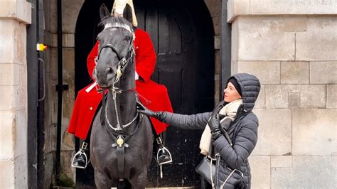 An Enchanting Encounter: Unveiling the Wonders of the Ivory Stallion